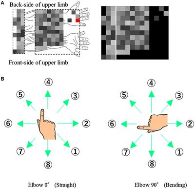 The Effect of ICA and Non-negative Matrix Factorization Analysis for EMG Signals Recorded From Multi-Channel EMG Sensors